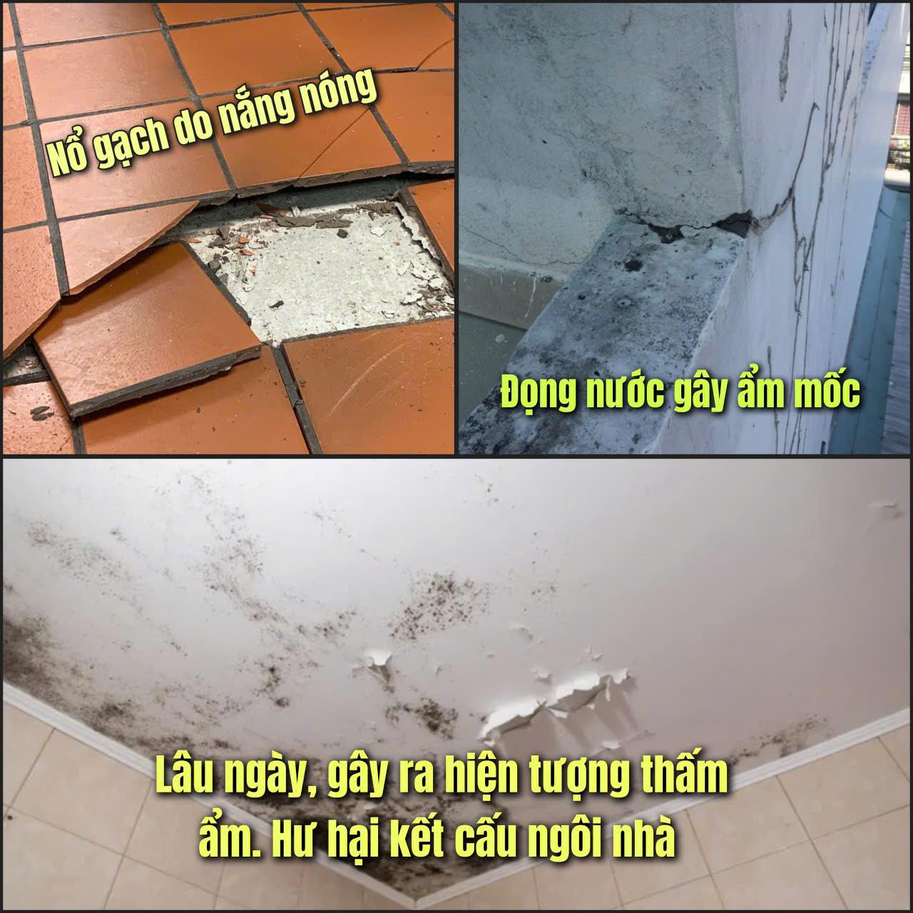 Chống Thấm Sân Thượng Bằng Mái Che - Hiệu Quả & Tiết Kiệm Chi Phí